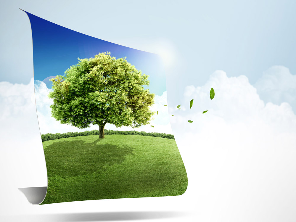 關(guān)于印發(fā)《建設(shè)項(xiàng)目環(huán)評(píng)審批原則(試行)》的通知